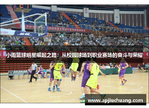 小雨篮球明星崛起之路：从校园球场到职业赛场的奋斗与荣耀