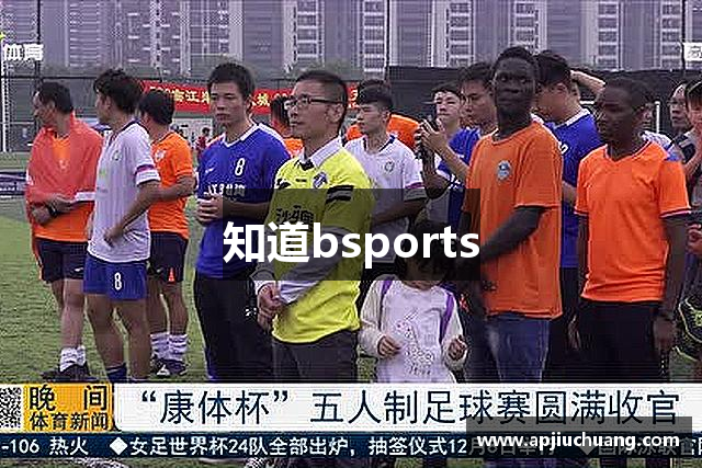 知道bsports